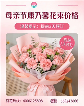 南充阆中市花店母亲节康乃馨花束