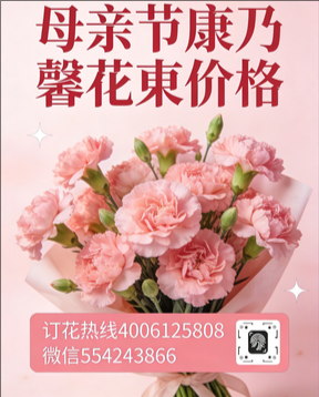 南充阆中市花店母亲节康乃馨花束